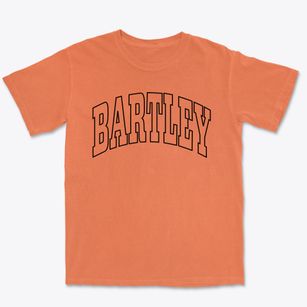 Bartley West Virginia Trendy Block Premium Heavyweight T-shirt