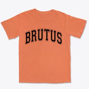 Brutus New York Varsity Premium Heavyweight T-shirt