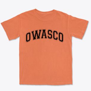 Owasco New York Varsity Premium Heavyweight T-shirt