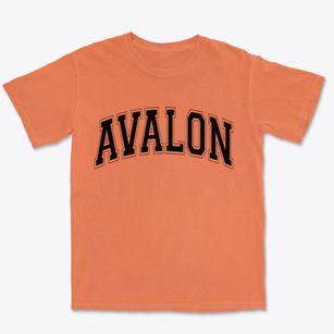 Avalon New Jersey Varsity Premium Heavyweight T-shirt