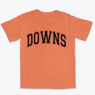 Downs Illinois Varsity Premium Heavyweight T-shirt