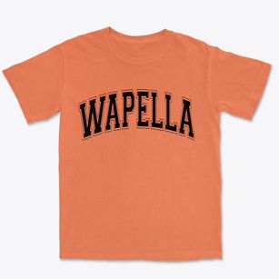 Wapella Illinois Varsity Premium Heavyweight T-shirt