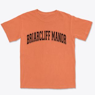 Briarcliff Manor New York Varsity Premium Heavyweight T-shirt
