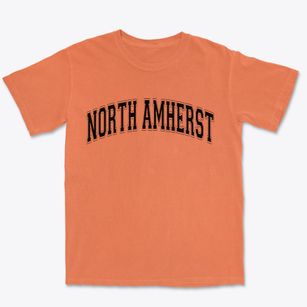 North Amherst Massachusetts Varsity Premium Heavyweight T-shirt