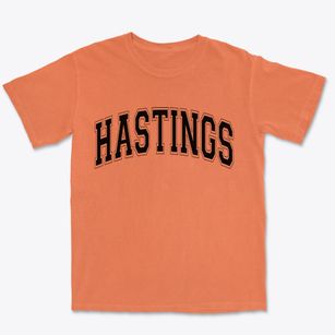 Hastings Michigan Varsity Premium Heavyweight T-shirt