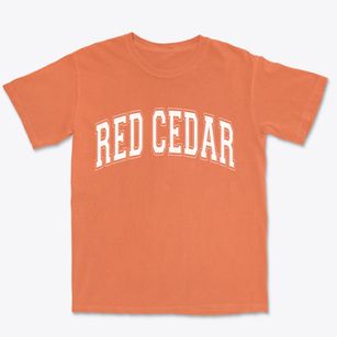 Red Cedar Wisconsin Varsity Premium Heavyweight T-shirt