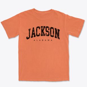 Jackson Alabama Urban Vibe Premium Heavyweight T-shirt