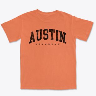Austin Arkansas Urban Vibe Premium Heavyweight T-shirt