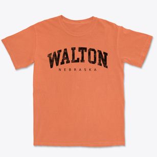 Walton Nebraska Urban Vibe Premium Heavyweight T-shirt