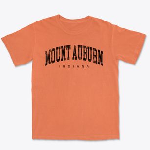 Mount Auburn Indiana Urban Vibe Premium Heavyweight T-shirt