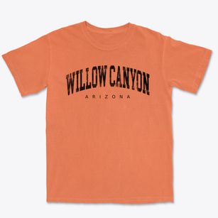 Willow Canyon Arizona Urban Vibe Premium Heavyweight T-shirt