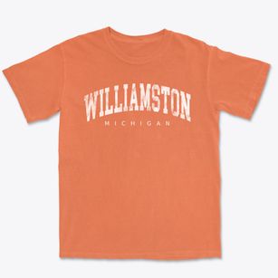 Williamston Michigan Urban Vibe Premium Heavyweight T-shirt