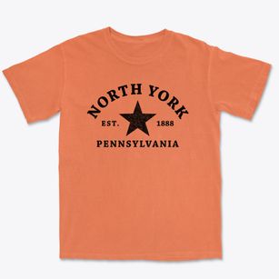 North York Pennsylvania Star Premium Heavyweight T-shirt