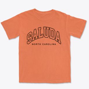 Saluda North Carolina Inline Premium Heavyweight T-shirt