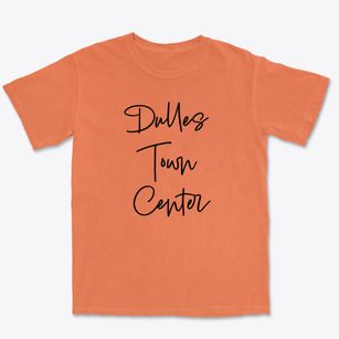 Dulles Town Center Virginia Freestyle Premium Heavyweight T-shirt