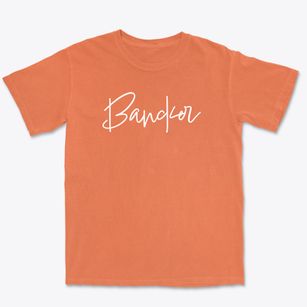 Bancker Louisiana Freestyle Premium Heavyweight T-shirt