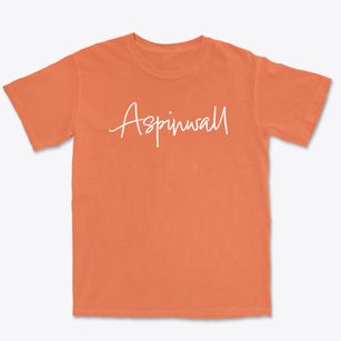 Aspinwall Iowa Freestyle Premium Heavyweight T-shirt