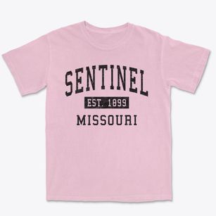 Sentinel Missouri Classic Established Premium Heavyweight T-shirt