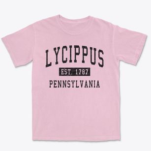 Lycippus Pennsylvania Classic Established Premium Heavyweight T-shirt