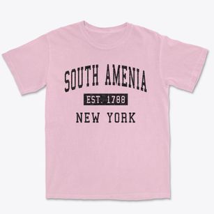 South Amenia New York Classic Established Premium Heavyweight T-shirt