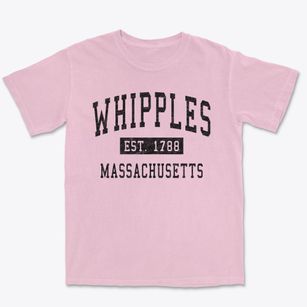 Whipples Massachusetts Classic Established Premium Heavyweight T-shirt