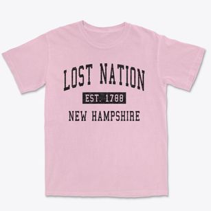 Lost Nation New Hampshire Classic Established Premium Heavyweight T-shirt