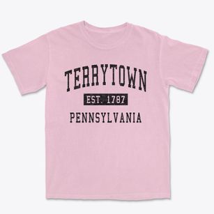 Terrytown Pennsylvania Classic Established Premium Heavyweight T-shirt