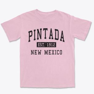 Pintada New Mexico Classic Established Premium Heavyweight T-shirt