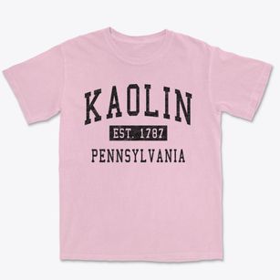 Kaolin Pennsylvania Classic Established Premium Heavyweight T-shirt
