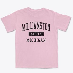 Williamston Michigan Classic Established Premium Heavyweight T-shirt