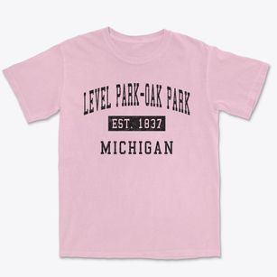 Level Park-oak Park Michigan Classic Established Premium Heavyweight T-shirt