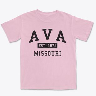 Ava Missouri Classic Established Premium Heavyweight T-shirt