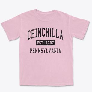 Chinchilla Pennsylvania Classic Established Premium Heavyweight T-shirt