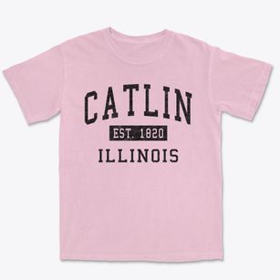 Catlin Illinois Classic Established Premium Heavyweight T-shirt