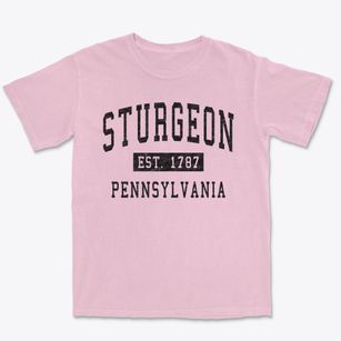 Sturgeon Pennsylvania Classic Established Premium Heavyweight T-shirt
