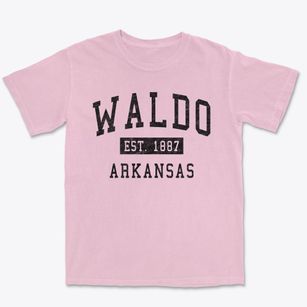 Waldo Arkansas Classic Established Premium Heavyweight T-shirt