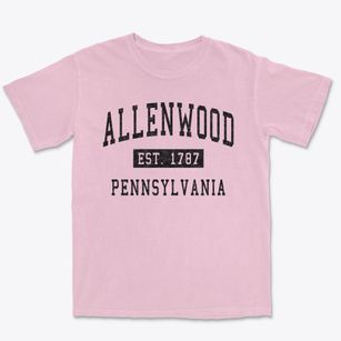 Allenwood Pennsylvania Classic Established Premium Heavyweight T-shirt