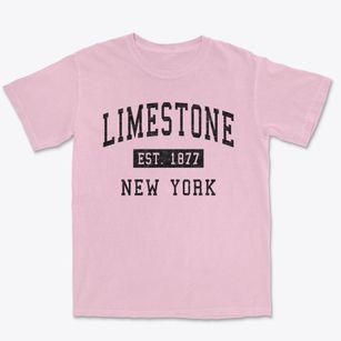 Limestone New York Classic Established Premium Heavyweight T-shirt
