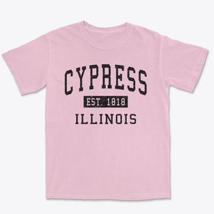 Cypress Illinois Classic Established Premium Heavyweight T-shirt