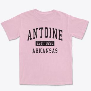 Antoine Arkansas Classic Established Premium Heavyweight T-shirt