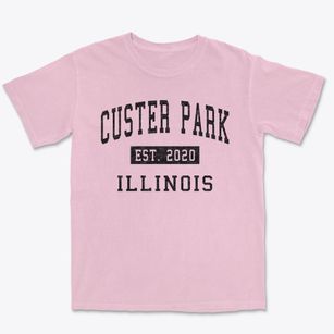 Custer Park Illinois Classic Established Premium Heavyweight T-shirt