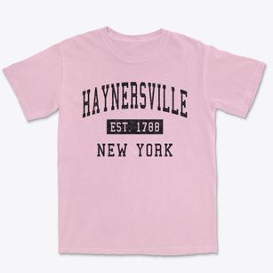 Haynersville New York Classic Established Premium Heavyweight T-shirt