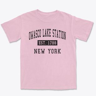 Owasco Lake Station New York Classic Established Premium Heavyweight T-shirt