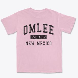 Omlee New Mexico Classic Established Premium Heavyweight T-shirt