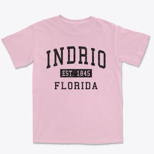 Indrio Florida Classic Established Premium Heavyweight T-shirt