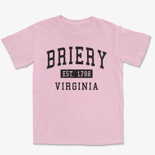 Briery Virginia Classic Established Premium Heavyweight T-shirt