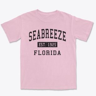 Seabreeze Florida Classic Established Premium Heavyweight T-shirt