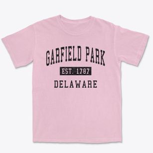 Garfield Park Delaware Classic Established Premium Heavyweight T-shirt
