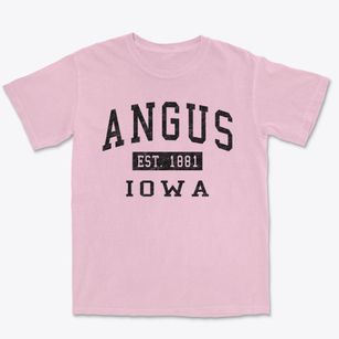 Angus Iowa Classic Established Premium Heavyweight T-shirt