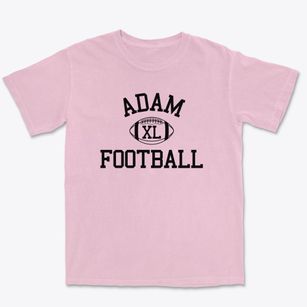 Adam Clayton Powel Junior High School Classic Football Premium Heavyweight T-shirt